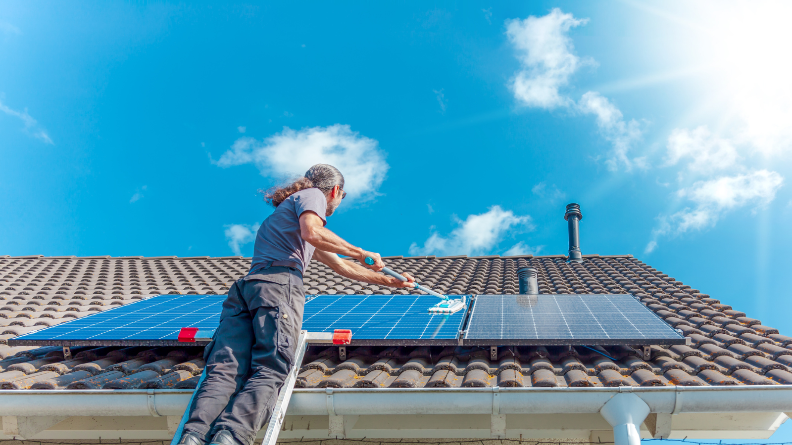 Obligation de solarisation